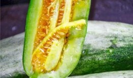 遵义网红吃瓜,揭秘网络红人的幕后故事